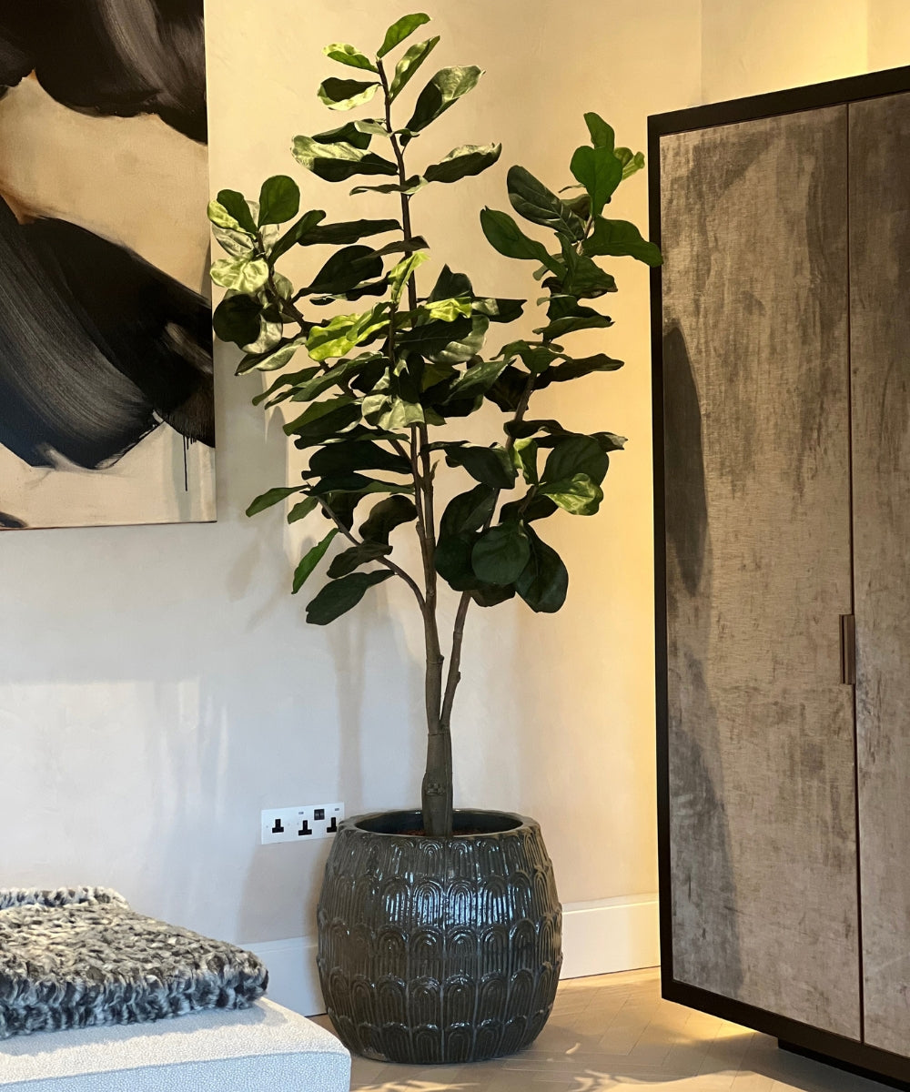Effortless Greenery for Considered, Minimalist Homes