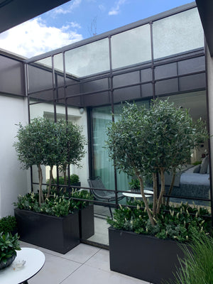 A Lightwell, and What to Do With It