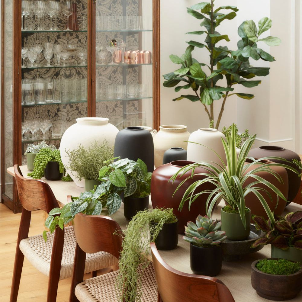 How to Rotate Your Faux to Make Them Feel New Again