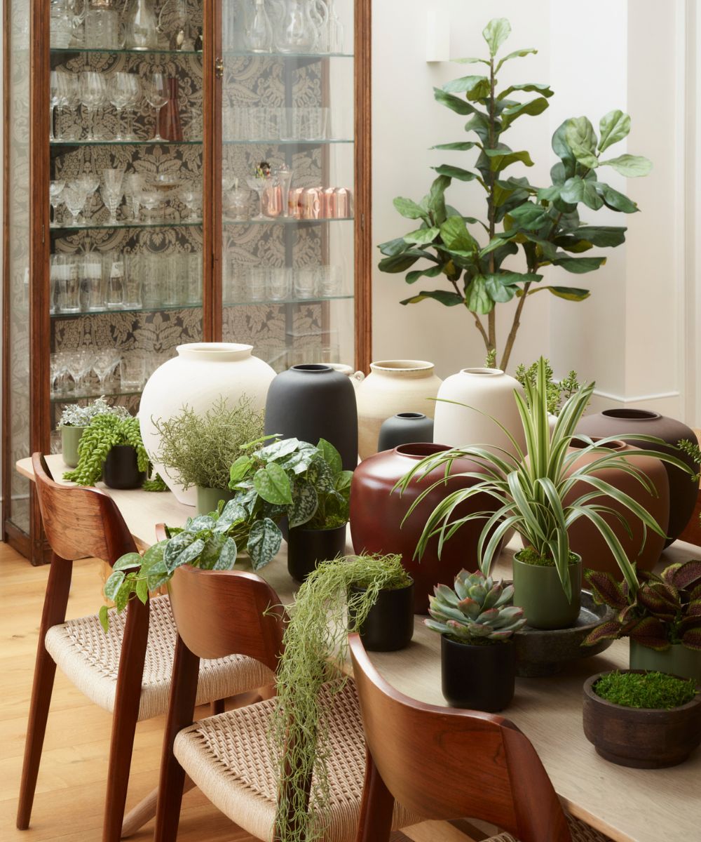 How to Rotate Your Faux to Make Them Feel New Again