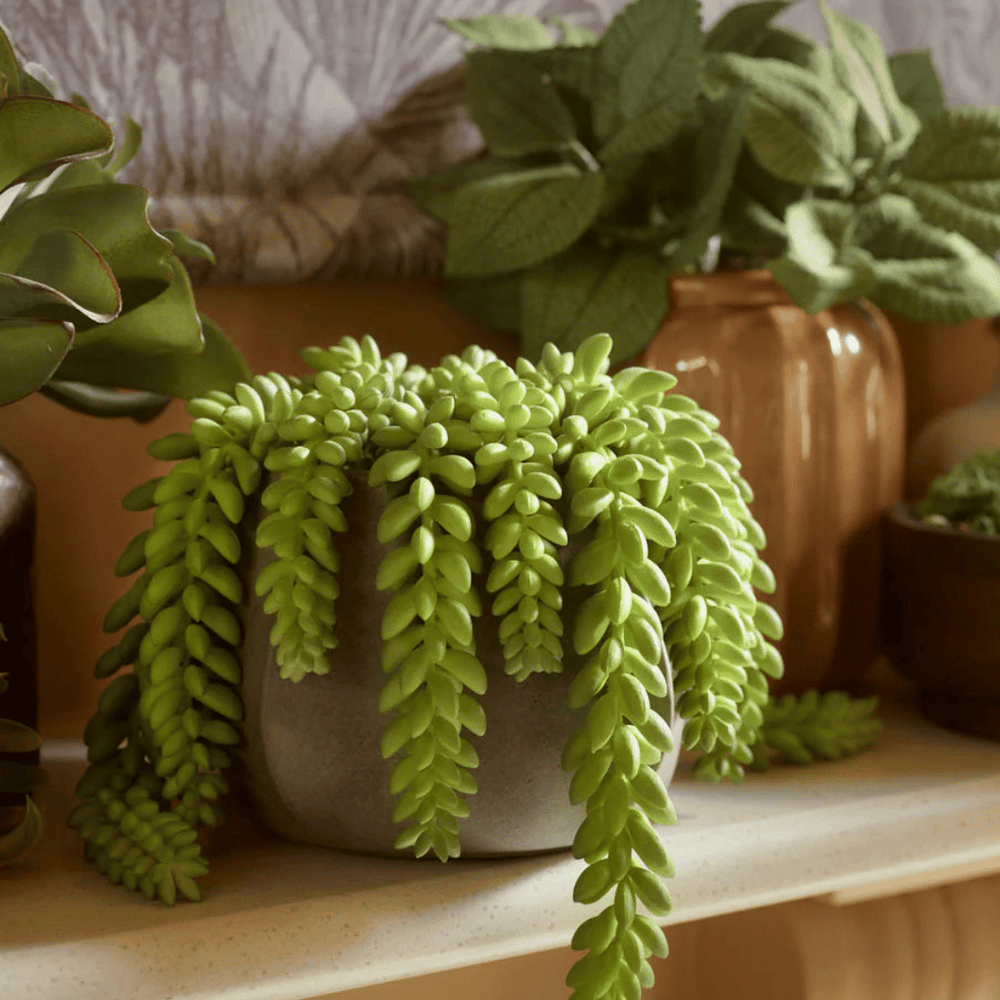 5 Overlooked Spaces to Style with Faux Plants