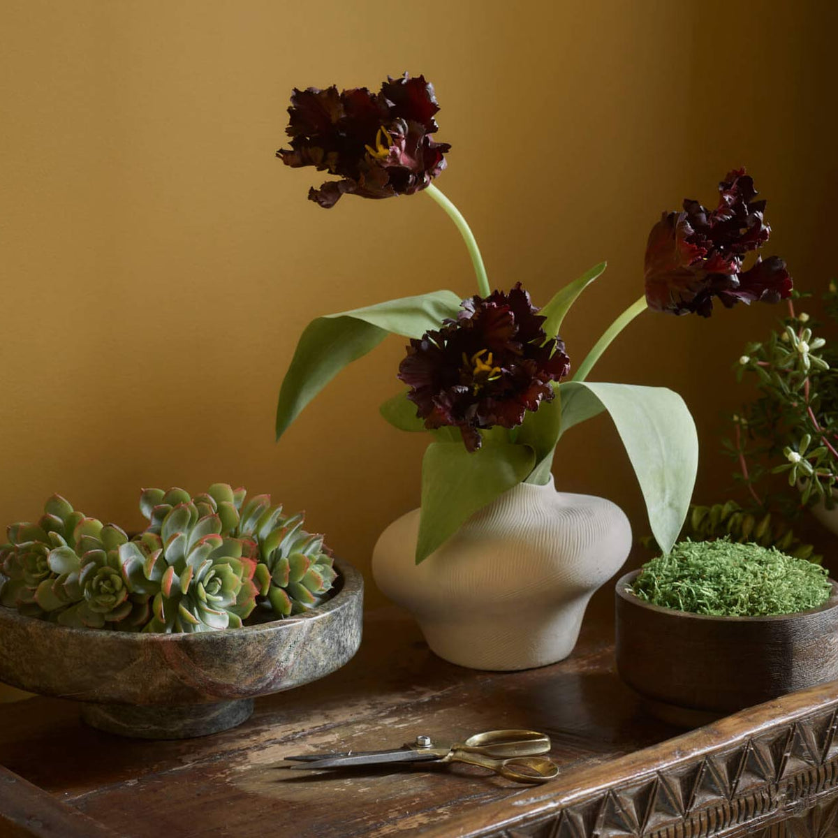 Pots, Planters & Vases