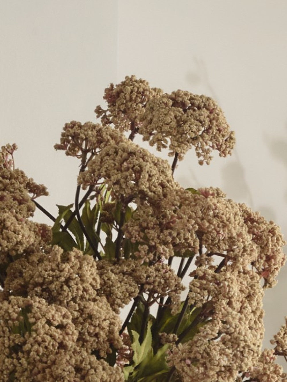 Close-up of faux stone achillea showing dense clusters of tiny, muted beige flowers on slender branching stems with green foliage.