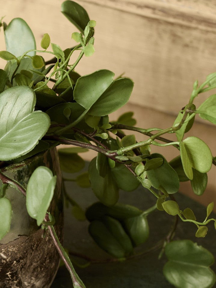 Faux Bauhinia Potted Plant, Green - 56 cm