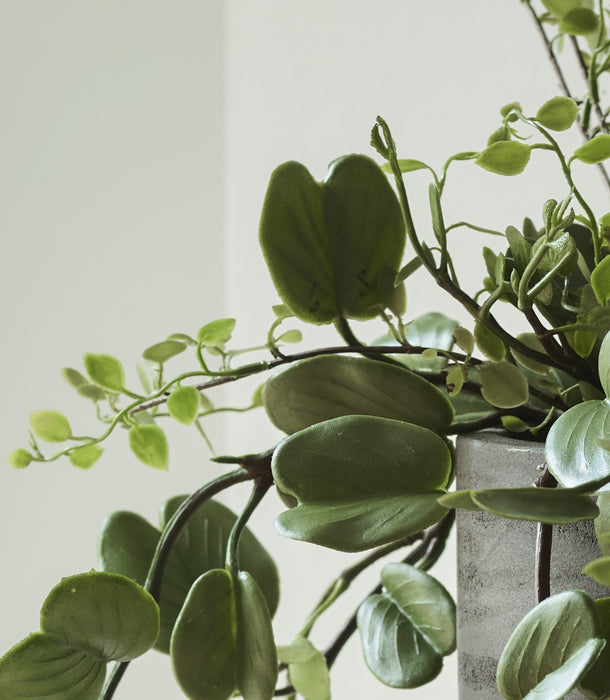 Faux Bauhinia Potted Plant, Green - 69 cm