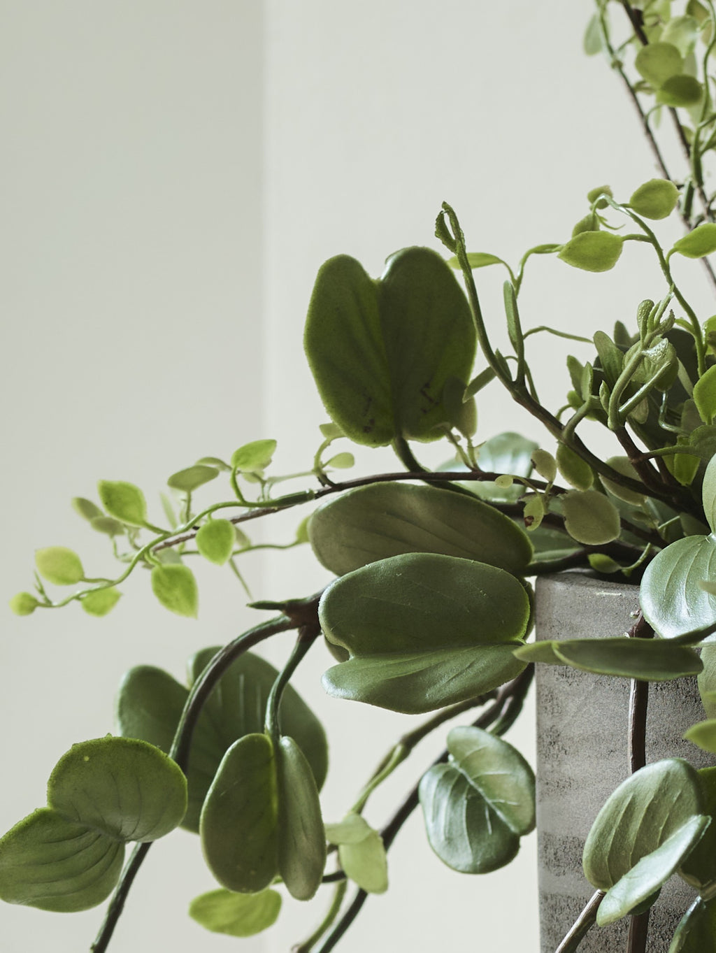 Faux Bauhinia Potted Plant, Green - 69 cm