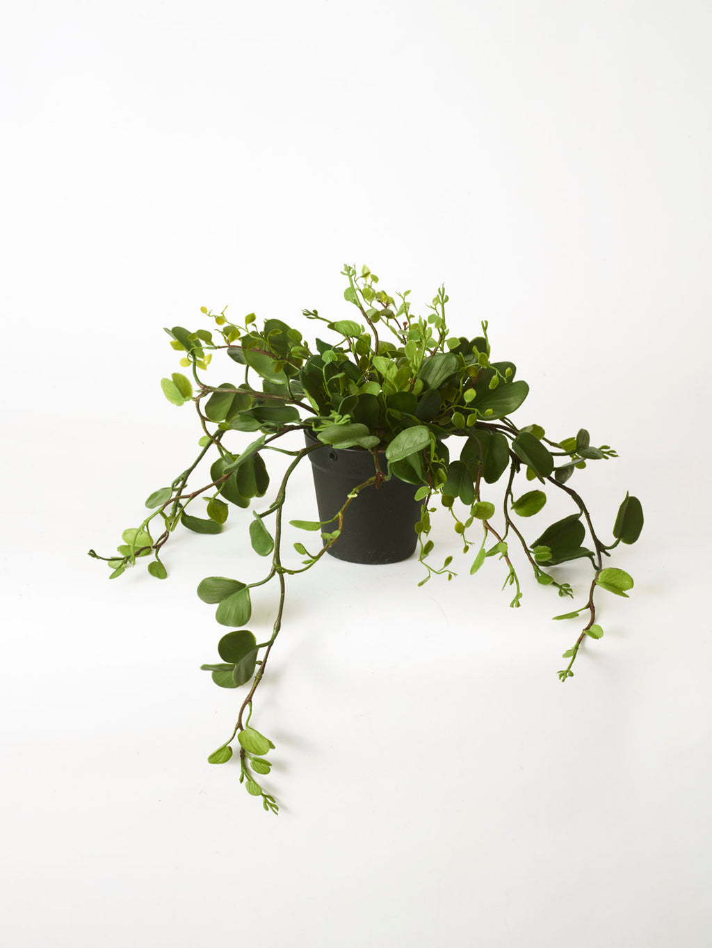 Faux Bauhinia Potted Plant, Green - 56 cm