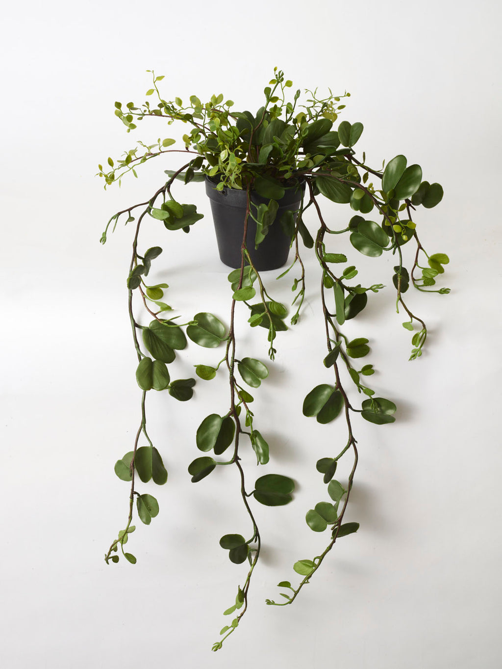 Faux Bauhinia Potted Plant, Green - 69 cm