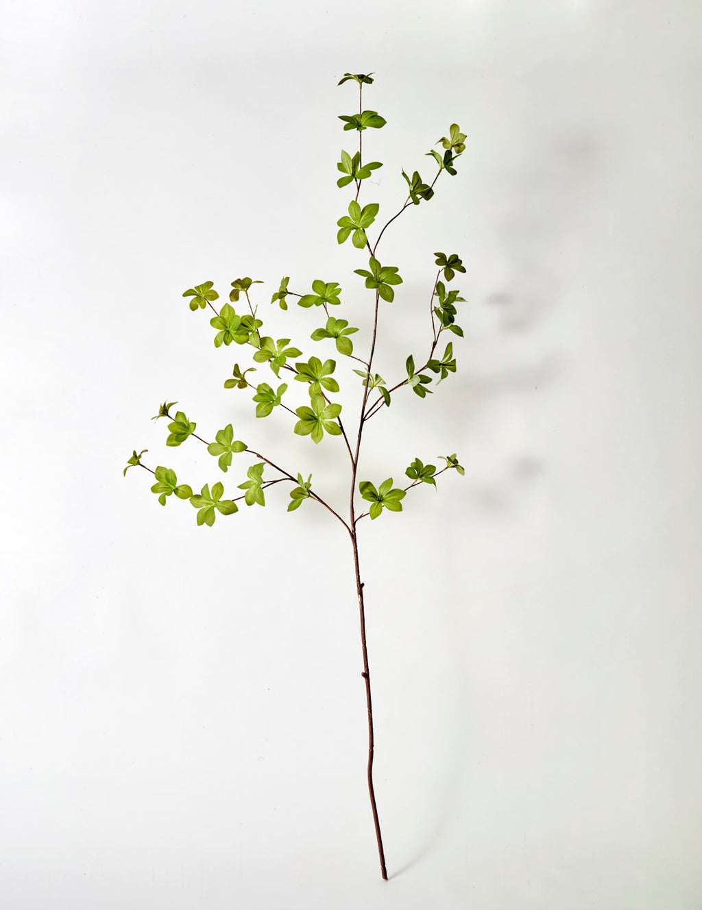 Faux Bucida Branch, Green - 115 cm