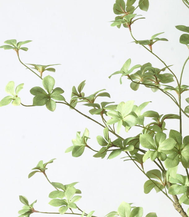 Faux Bucida Tree, Green - 185 cm