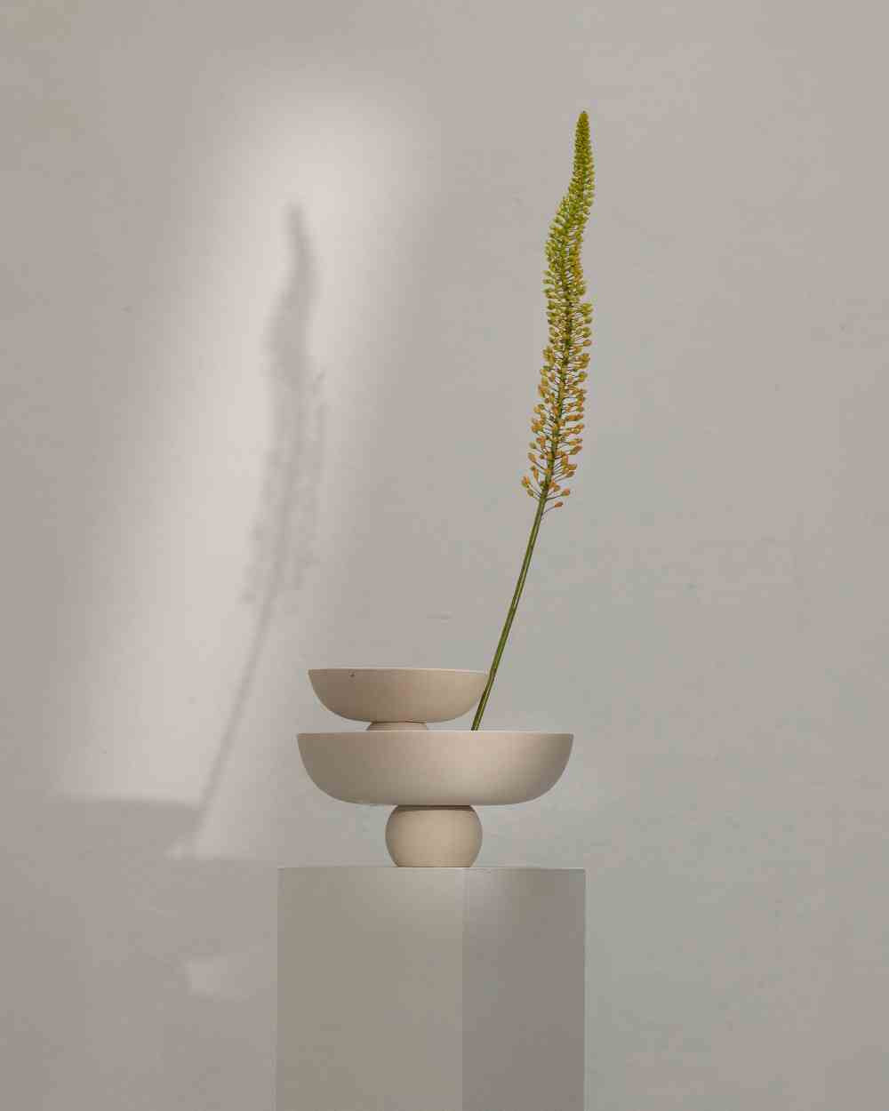 Baburu Bowl Mini in Birch by 101 Copenhagen, styled on a white pedestal alongside a smaller matching bowl, with a tall botanical stem against a neutral background.