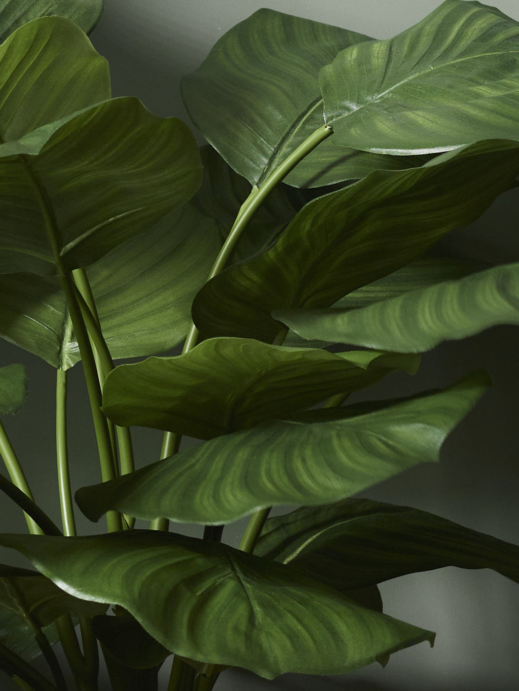Faux Calathea Plant, Green - 70 cm
