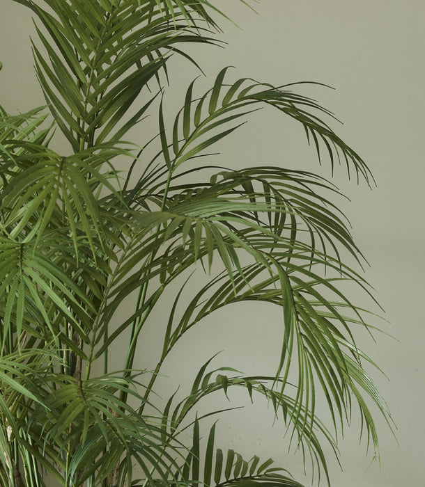 Faux Chamaedorea Palm, Green - 100 cm