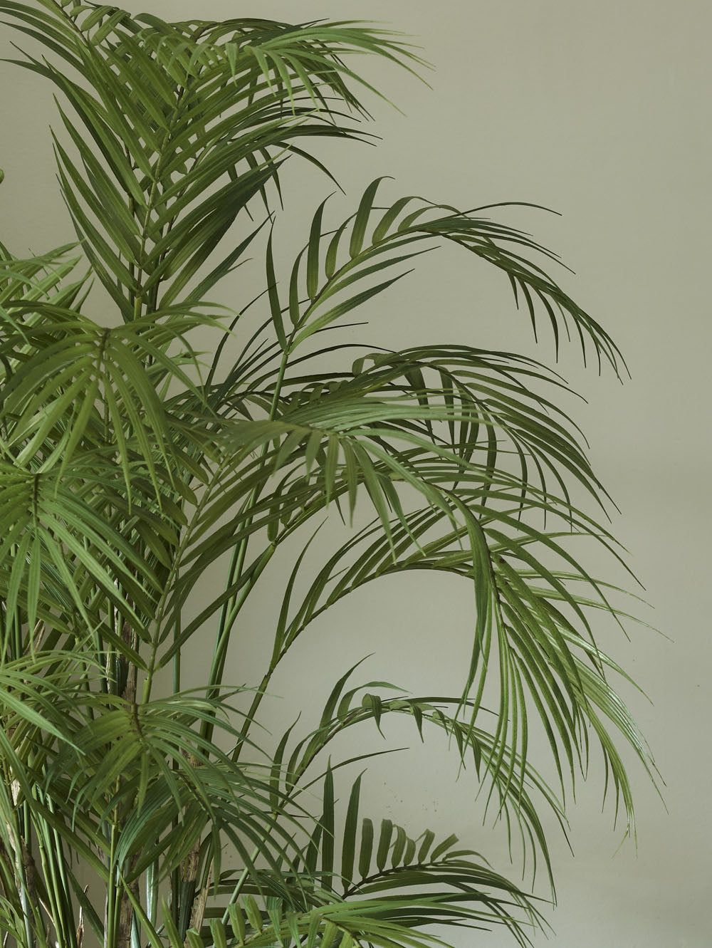 Faux Chamaedorea Palm, Green - 100 cm