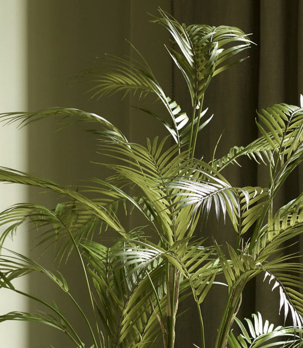 Faux Chamaedorea Palm, Green - 165 cm