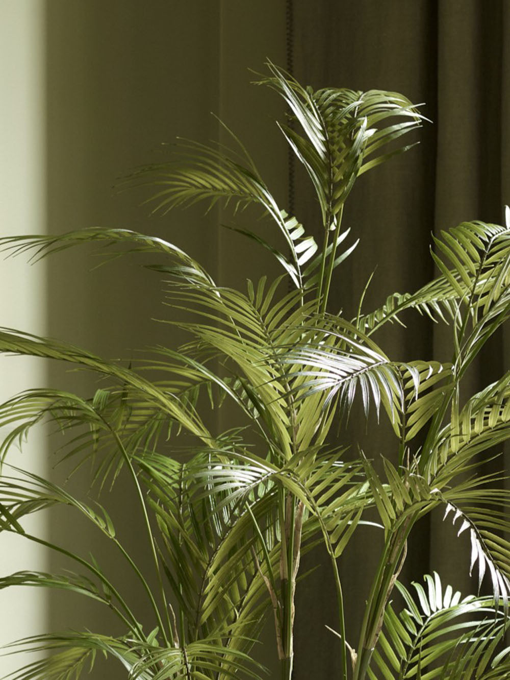 Faux Chamaedorea Palm, Green - 165 cm