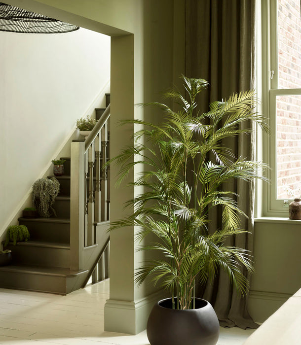 Faux Chamaedorea Palm, Green - 165 cm