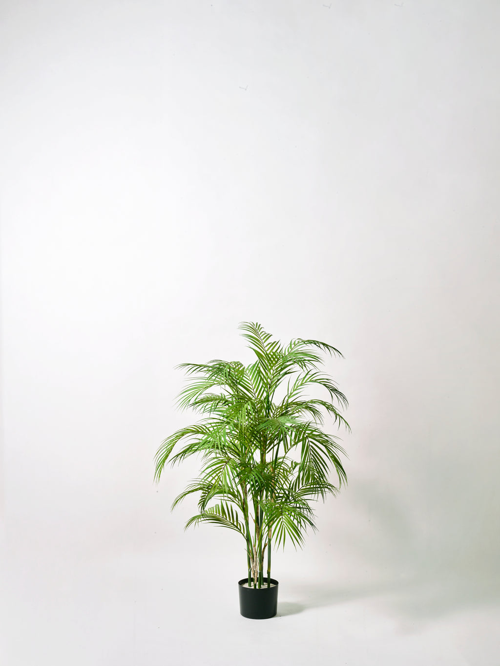 Faux Chamaedorea Palm, Green - 100 cm