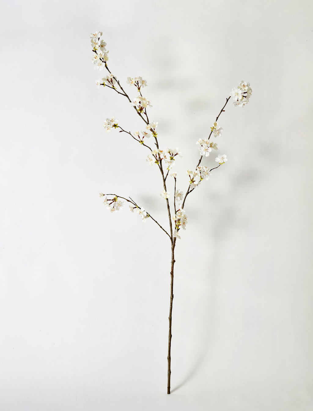 Faux Cherry Blossom Stem, White - 127 cm