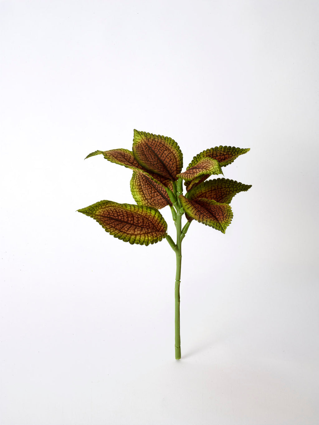 Faux Coleus Potted, Brown - 20 cm