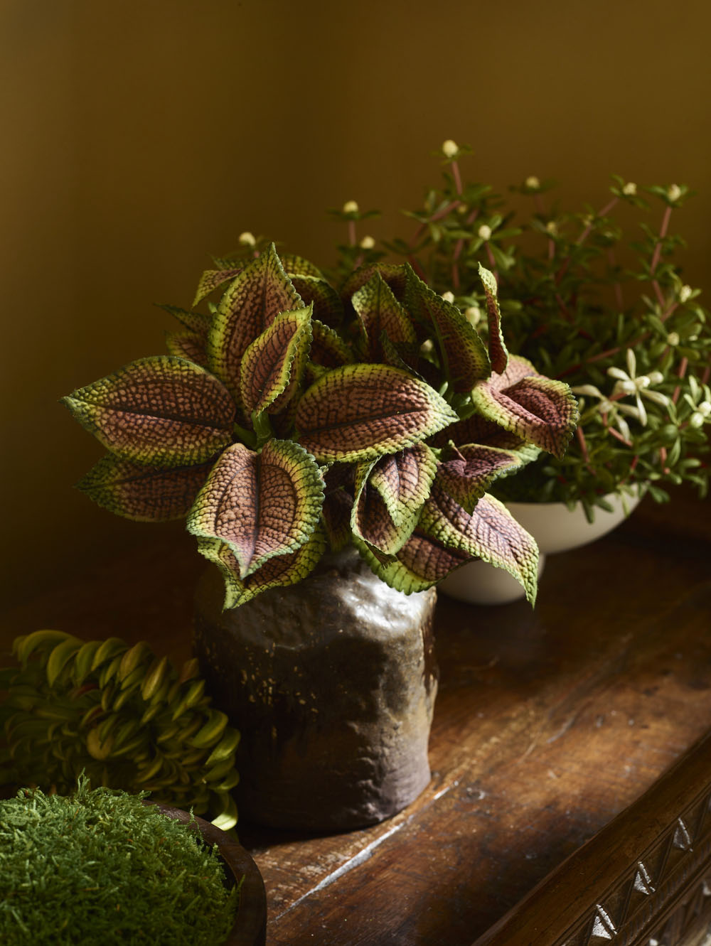 Faux Coleus Potted, Brown - 20 cm