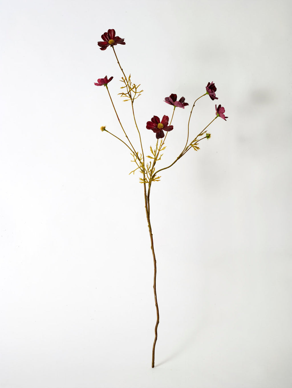 Faux Cosmos Mini, Burgundy - 77 cm