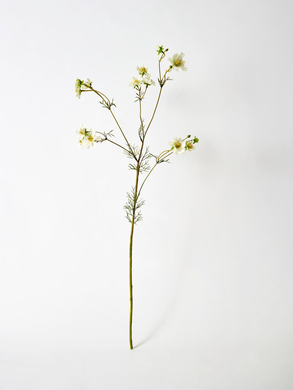 Faux Cosmos Mini, White - 96 cm