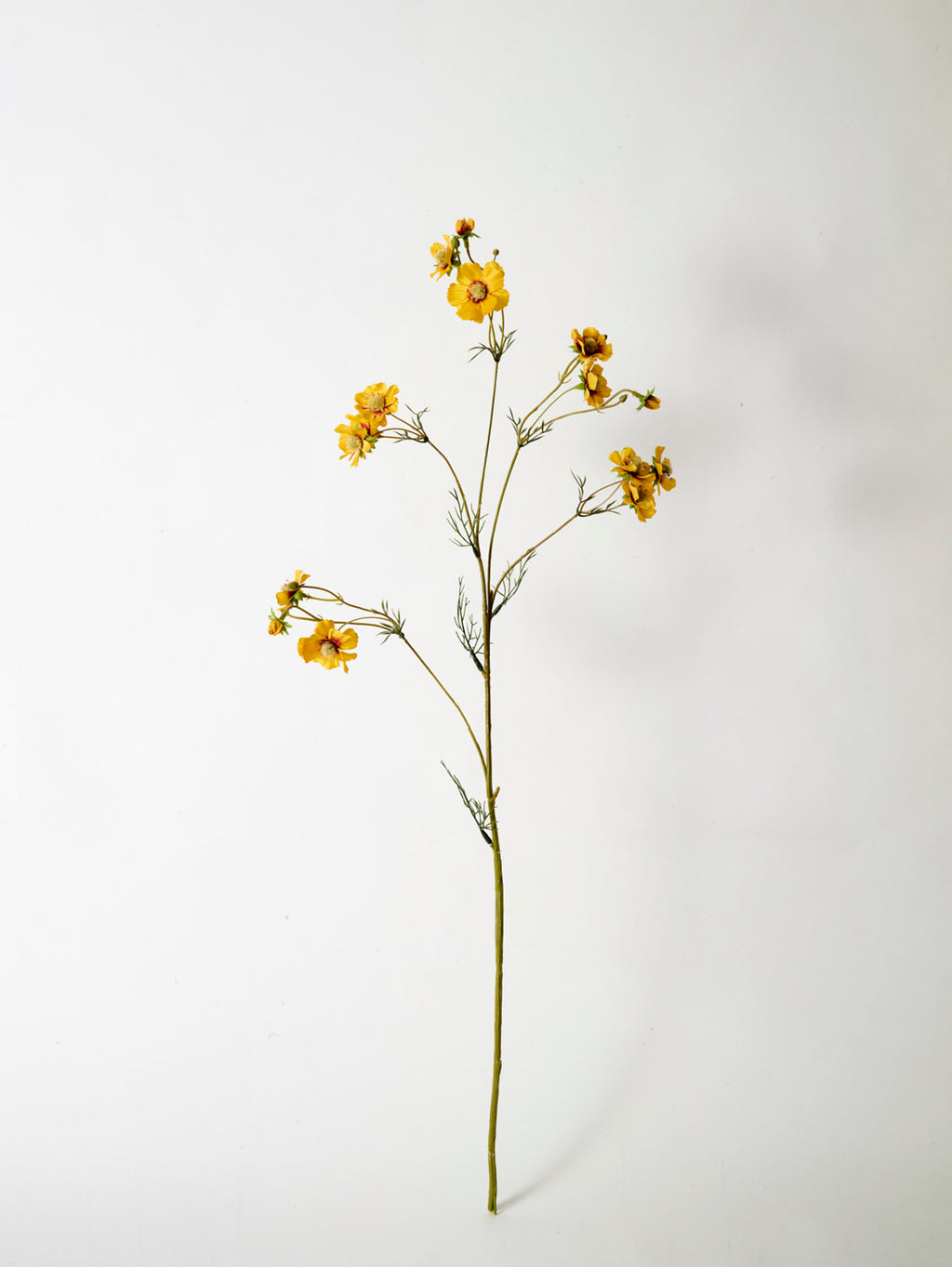 Faux Cosmos Mini, Yellow - 96 cm