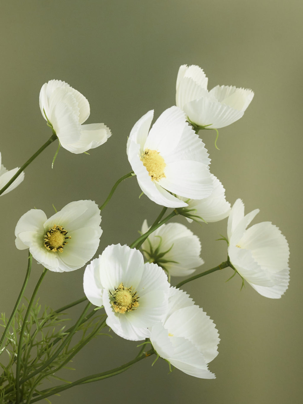 Faux Cosmos, White - 61 cm