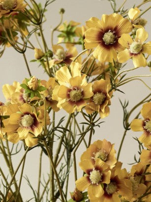 Faux Cosmos Mini, Yellow - 96 cm