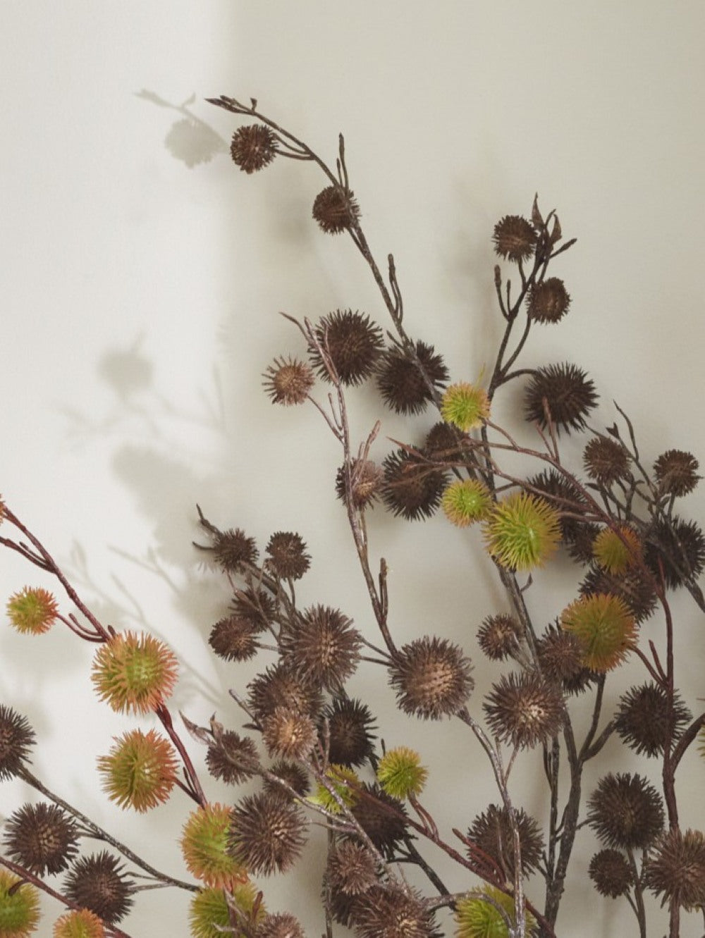 close up of Brown Faux Chestnut branches by Fake It Flowers, featuring spiky chestnut casings against a plane backdrop 