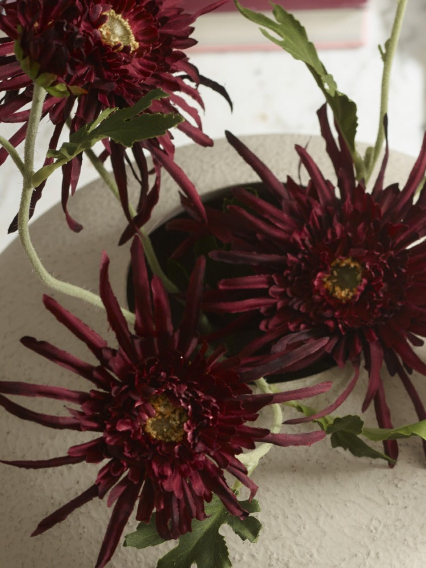 Deep burgundy artificial spider chrysanthemums with fine curling petals, displayed in a cream ceramic vase in an elegant interior.