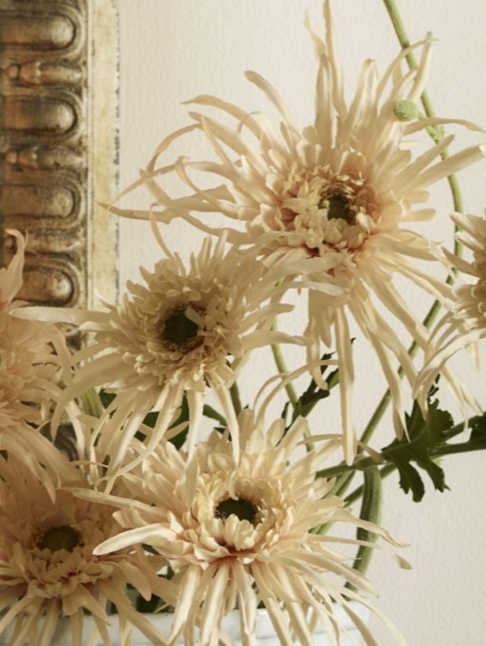 Close-up of Faux Spider Chrysanthemum in Cream by Fake It Flowers, featuring fine curling petals, warm apricot centres and green foliage.