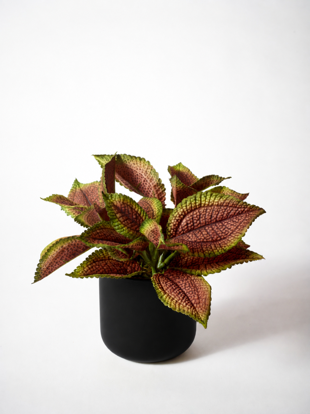 A potted artificial Coleus plant with mottled burgundy,rust and green leaves, presented in a matte black cylindrical pot against a clean white background.