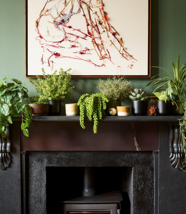 A mantel decorated with multiple green potted plants and hanging ferns, set against a sage green wall. Sedum, Spanish Moss, fake plants en masse. 