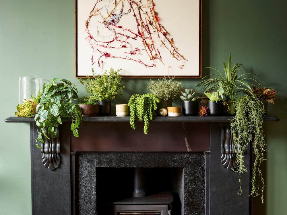 A mantel decorated with multiple green potted plants and hanging ferns, set against a sage green wall. Sedum, Spanish Moss, fake plants en masse. 