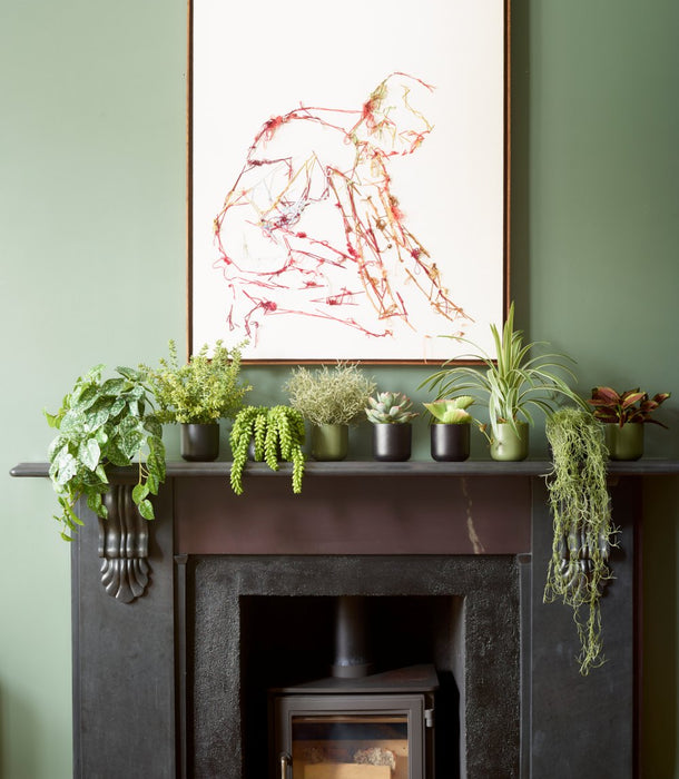 Potted fake plants on a mantle piece, trailing Scindapsus, fake donkeys tail, faux succulents, fake spanish moss and ferns