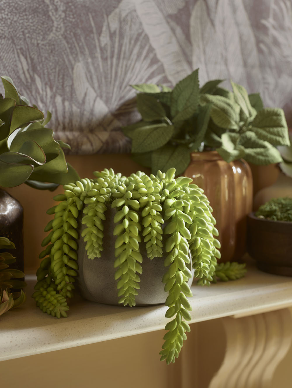 Faux Donkey Tail Potted, Green - 18 cm