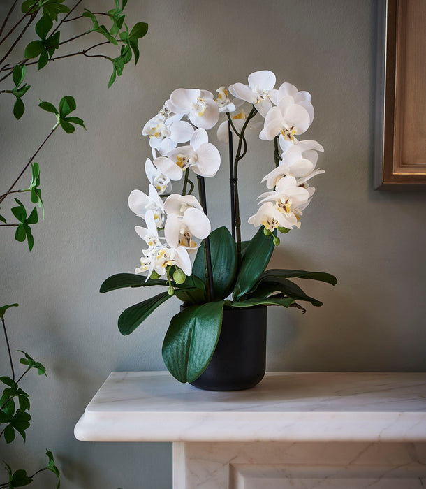 Faux Dwarf Orchid Potted, White - 35 cm