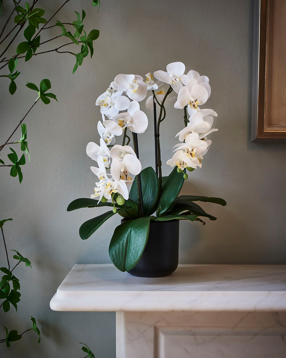 Faux Dwarf Orchid Potted, White - 35 cm