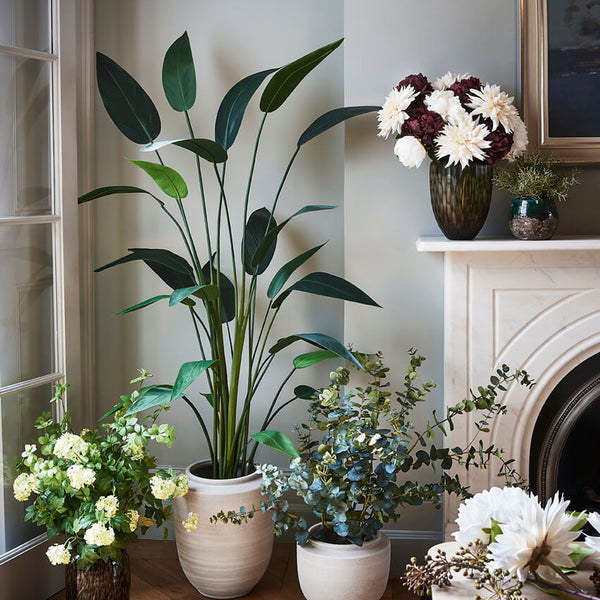 Decorative arrangement of potted plants and flowers in a room with a fireplace.