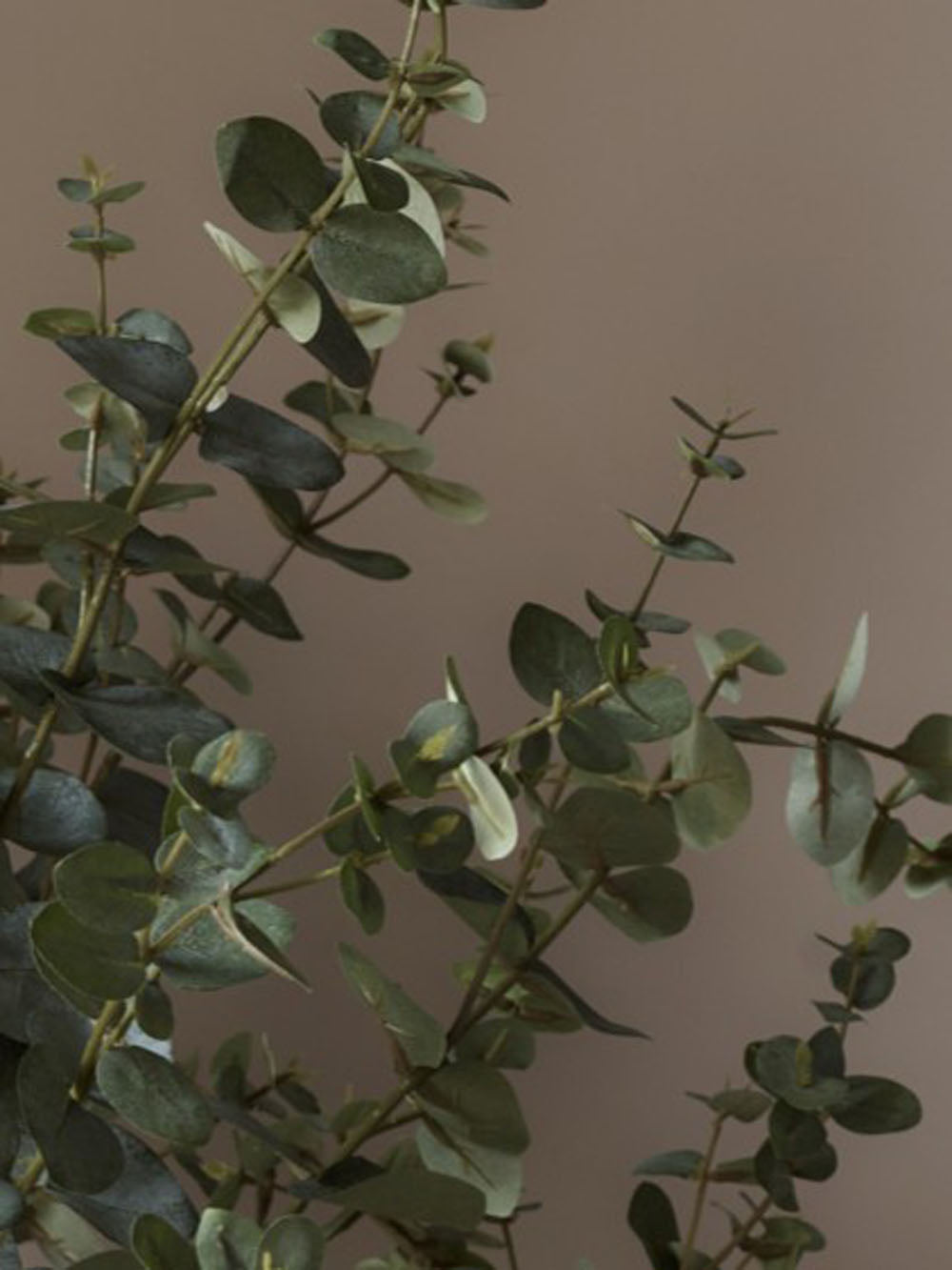 Faux Eucalyptus, Silver Grey - 145 cm