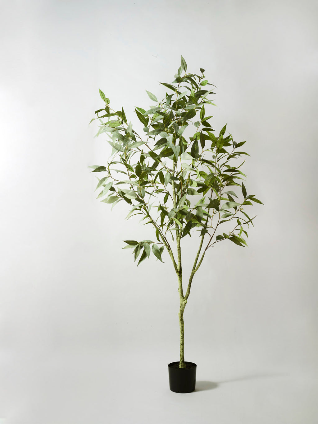Faux Eucalyptus Tree, Green - 195 cm