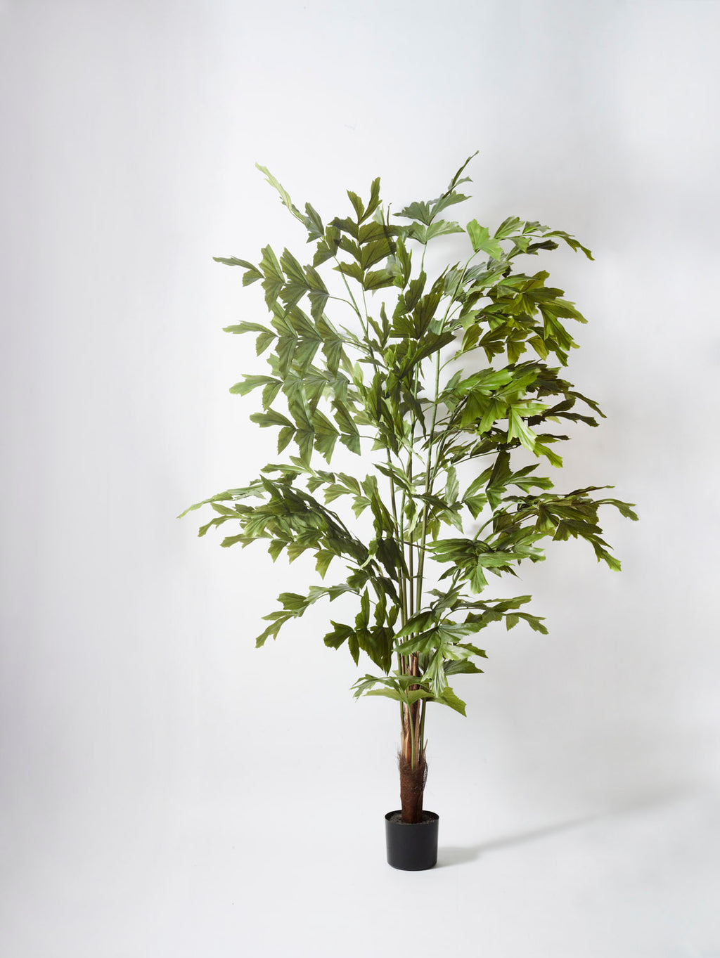 Faux Fishtail Palm, Green - 180 cm