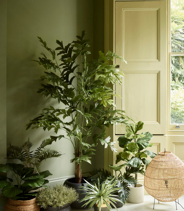 Faux Fishtail Palm, Green - 180 cm