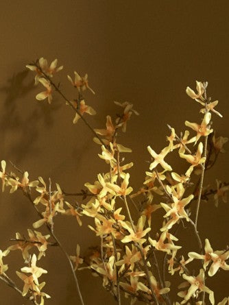 Faux Forsythia, Yellow - 89 cm