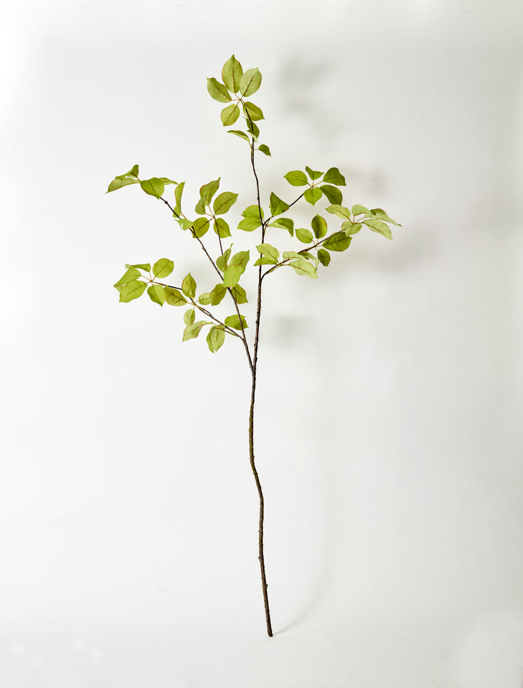 Faux Fruit Leaf Branch, Green - 120 cm