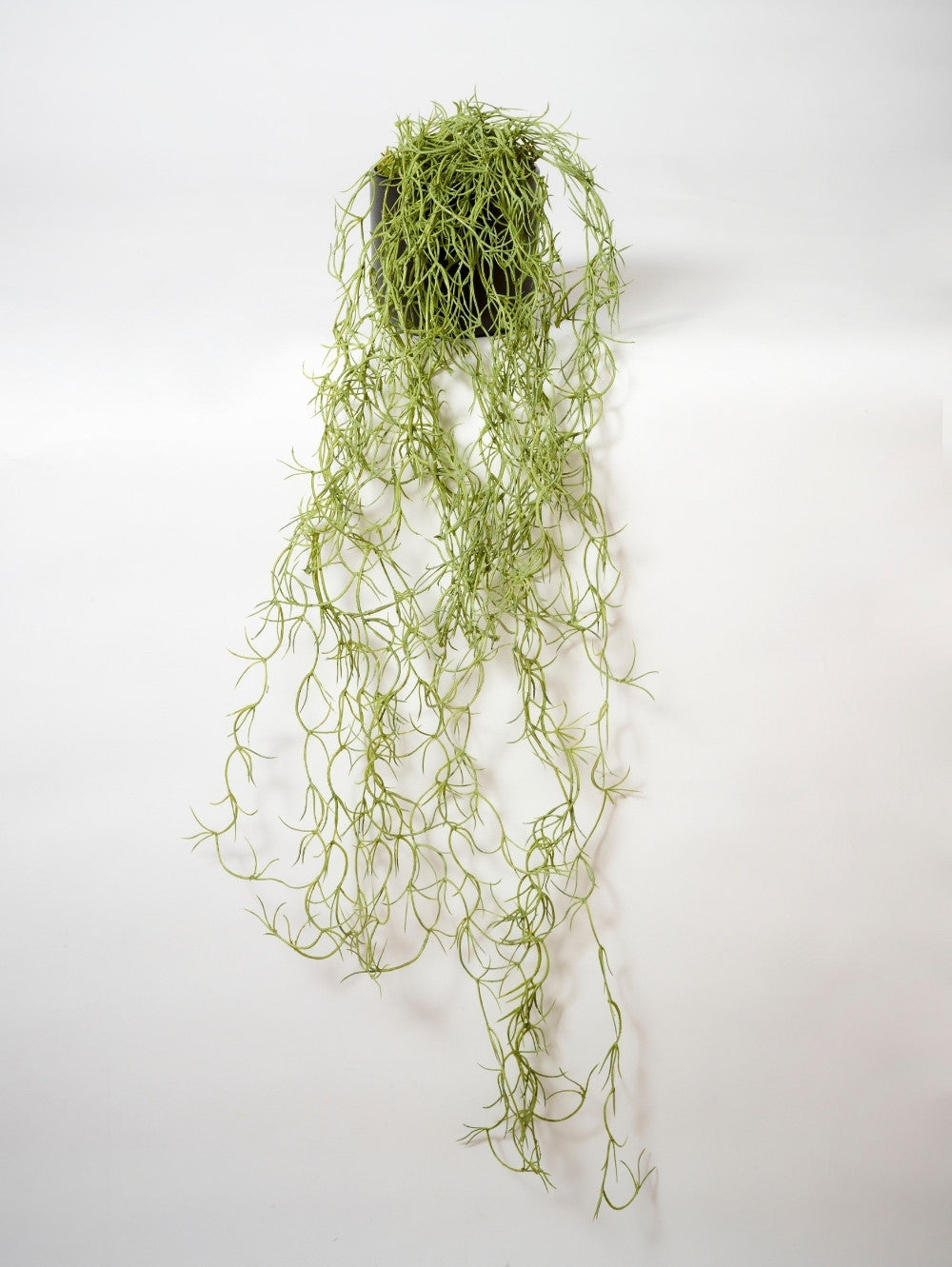 Faux Trailing Spanish Moss Potted, Sage - 60 cm