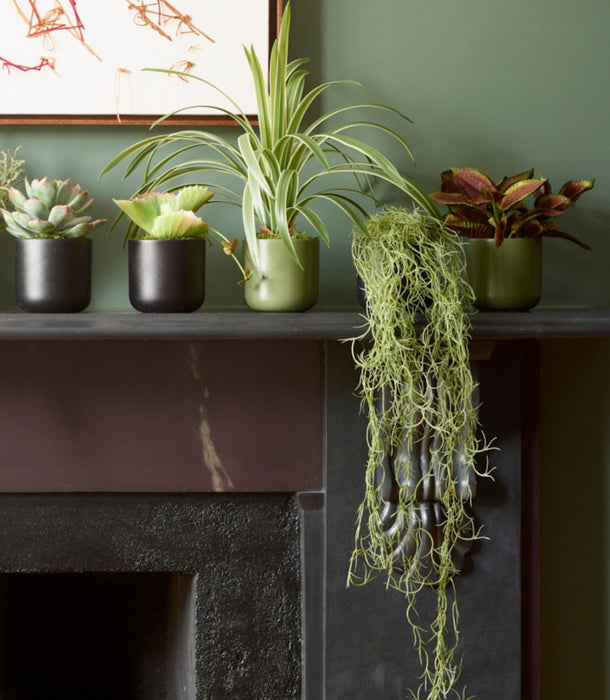 Faux Trailing Spanish Moss Potted, Sage - 60 cm