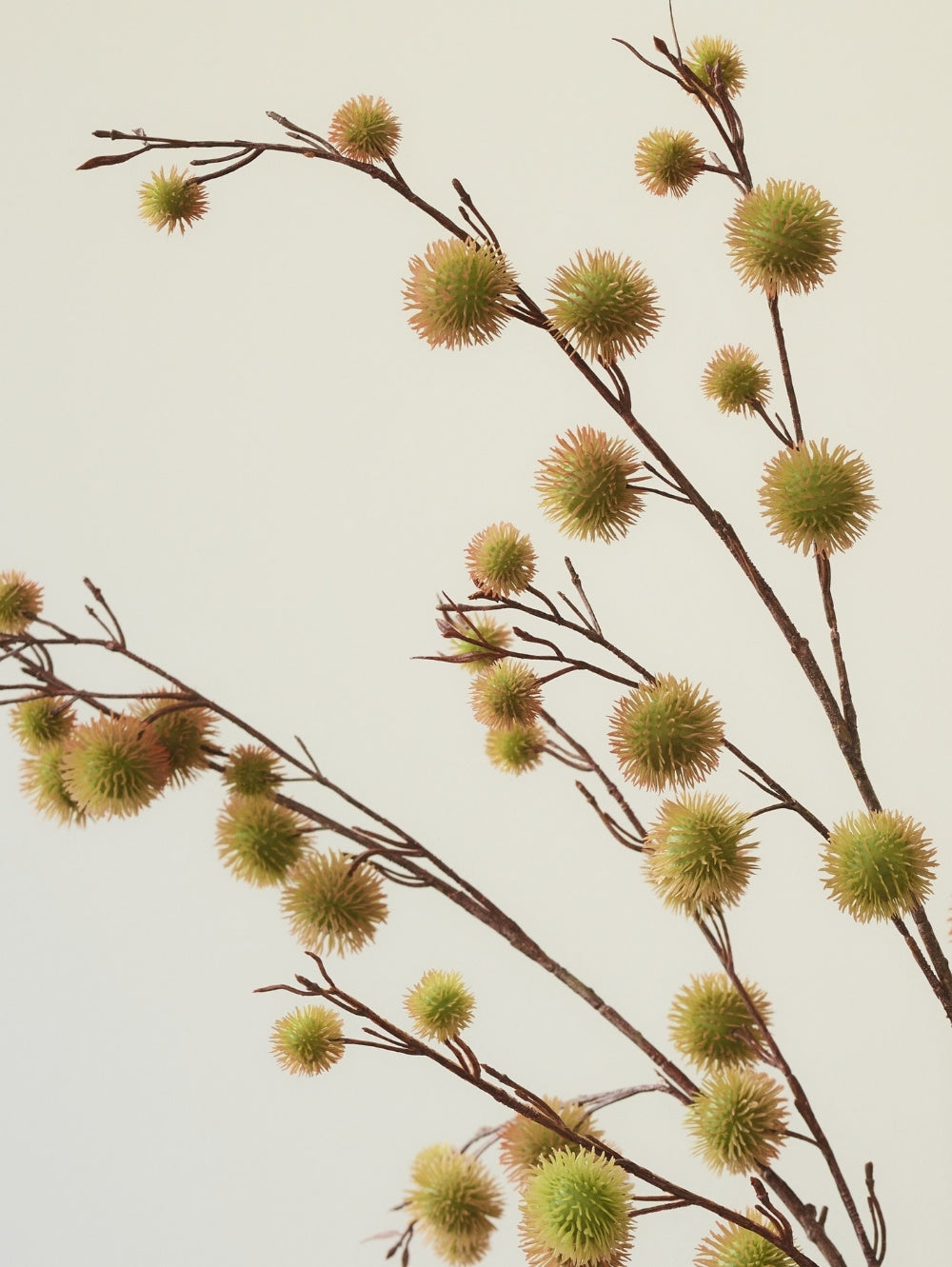 Artificial artificial Chestnut Spray with small spiky yellow-green-brown chestnut casings against a plain light beige background.